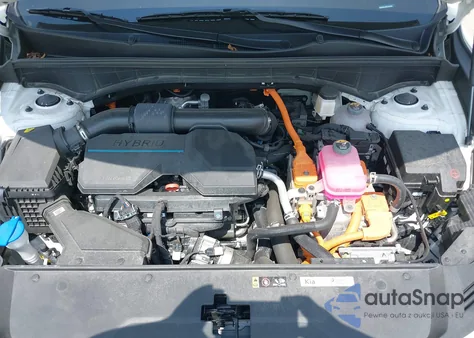 2024 Kia Sorento Hybrid Ex from USA, damaged, VIN KNDRHDLGXR5248420